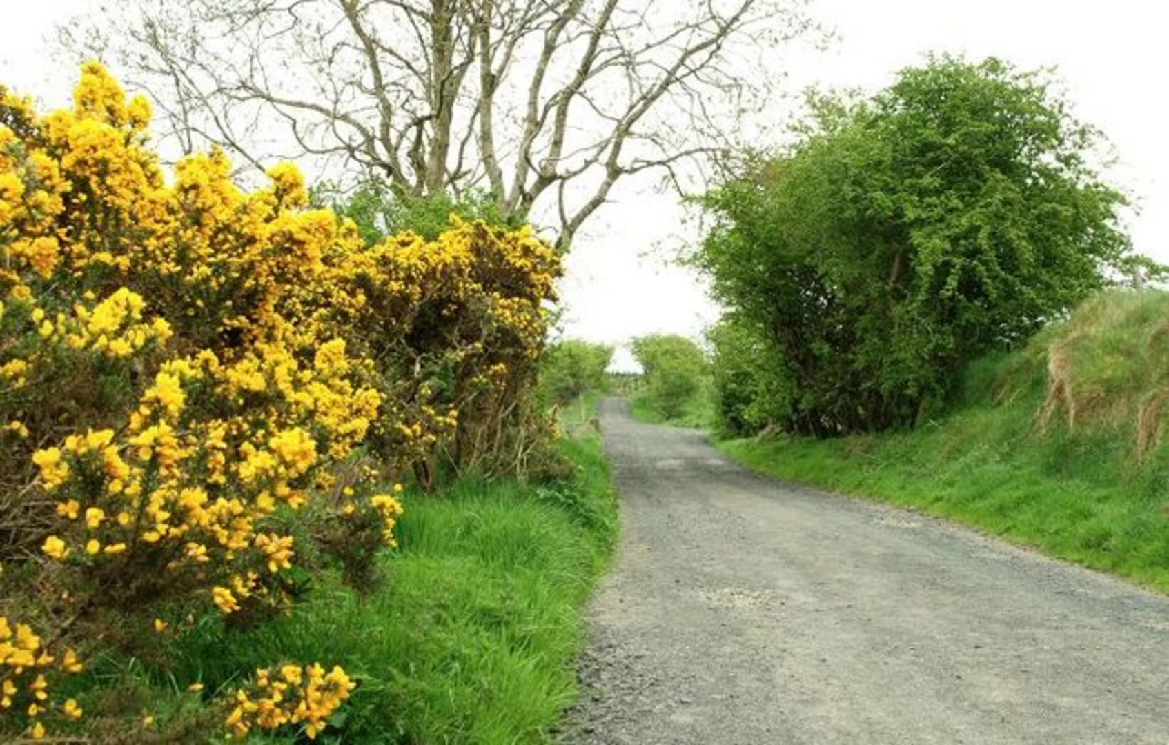 An image depicting the trail Croghan Way and its surrounding area.