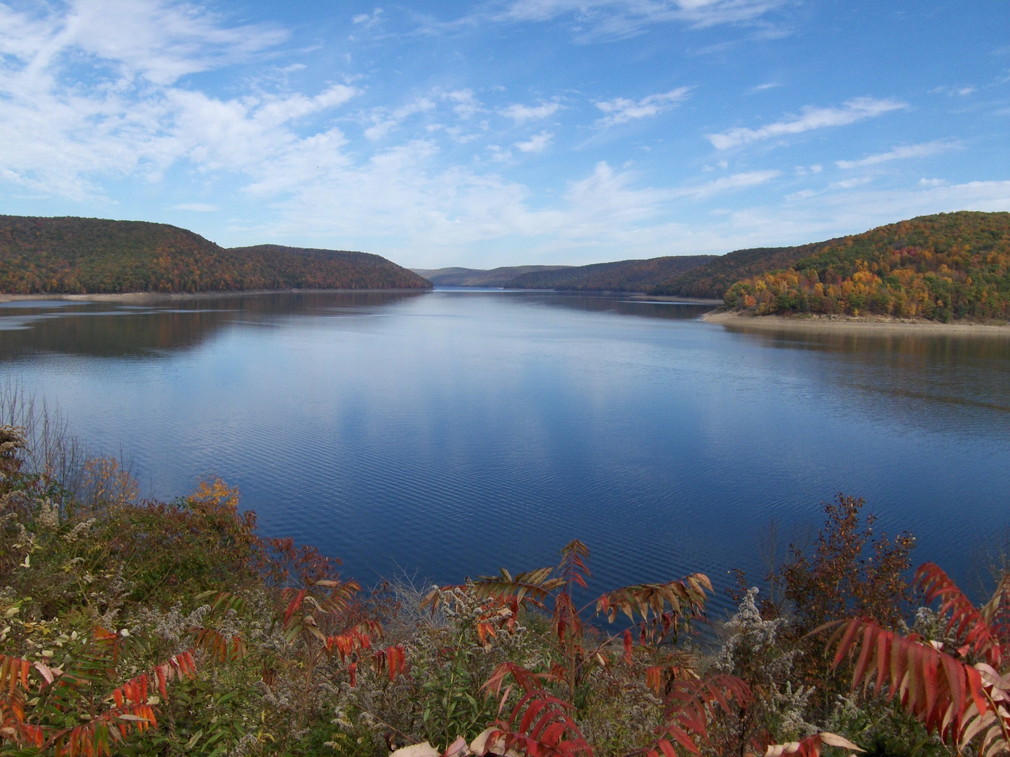 An image depicting the trail Tracy Ridge and Johnnycake Loop Trail and its surrounding area.