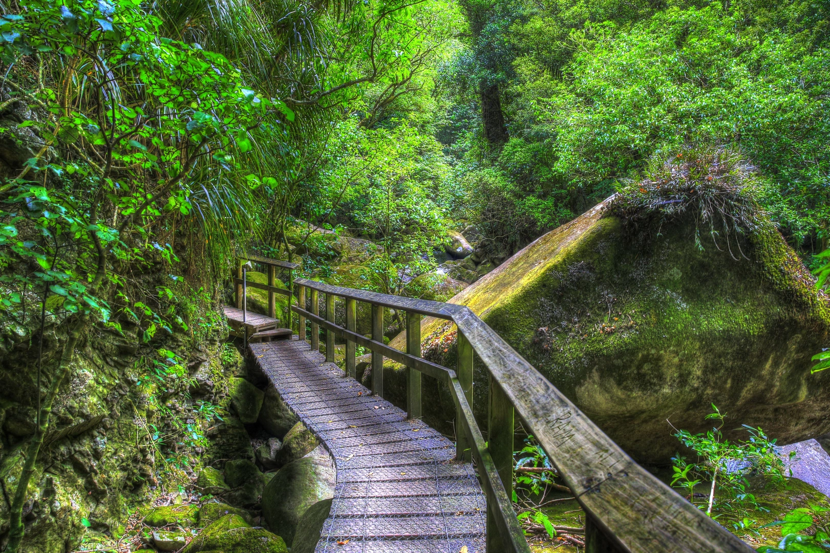 An image depicting the trail Wairere Falls Track and its surrounding area.