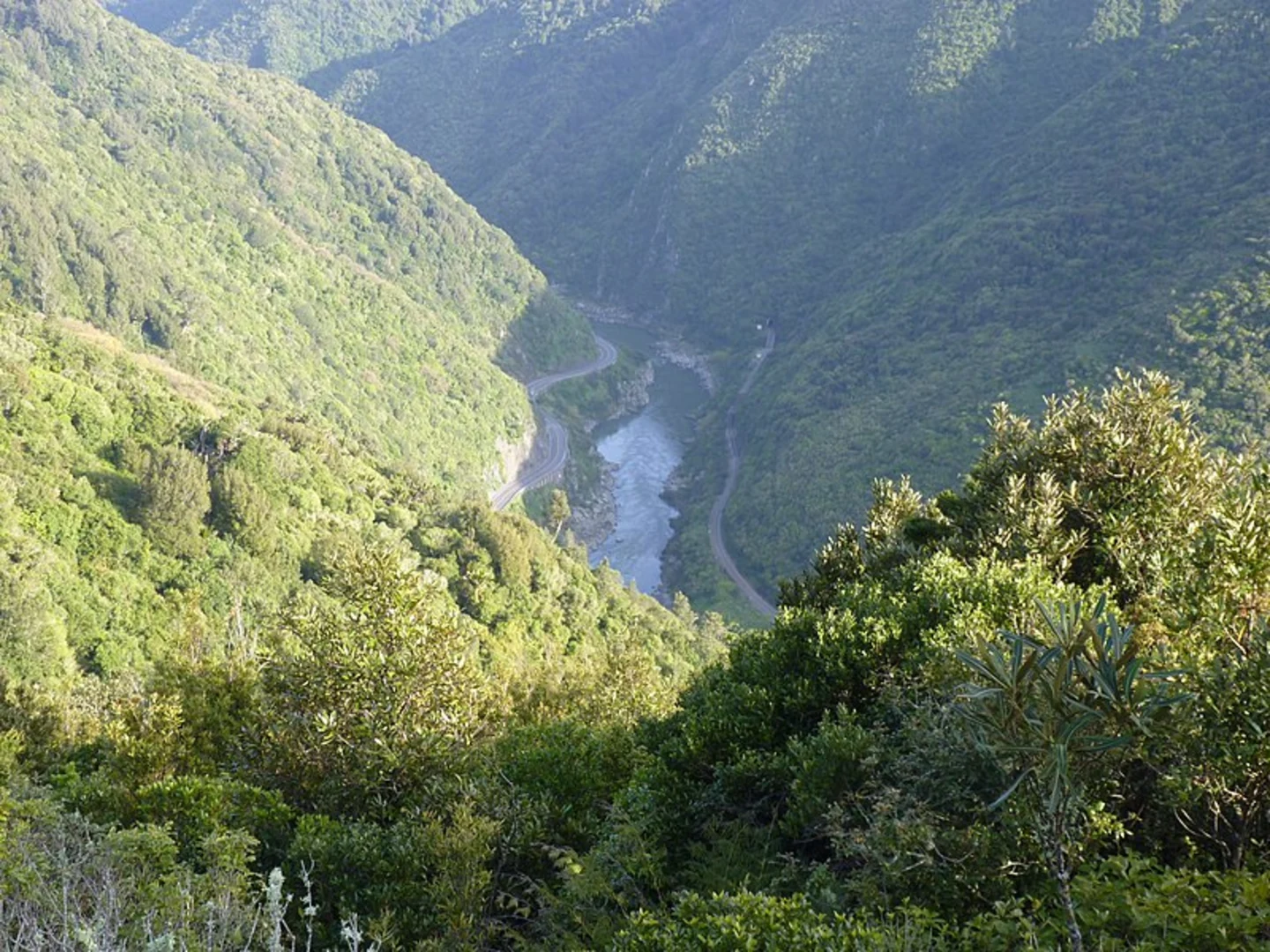 An image depicting the trail Manawatu Gorge Track and its surrounding area.
