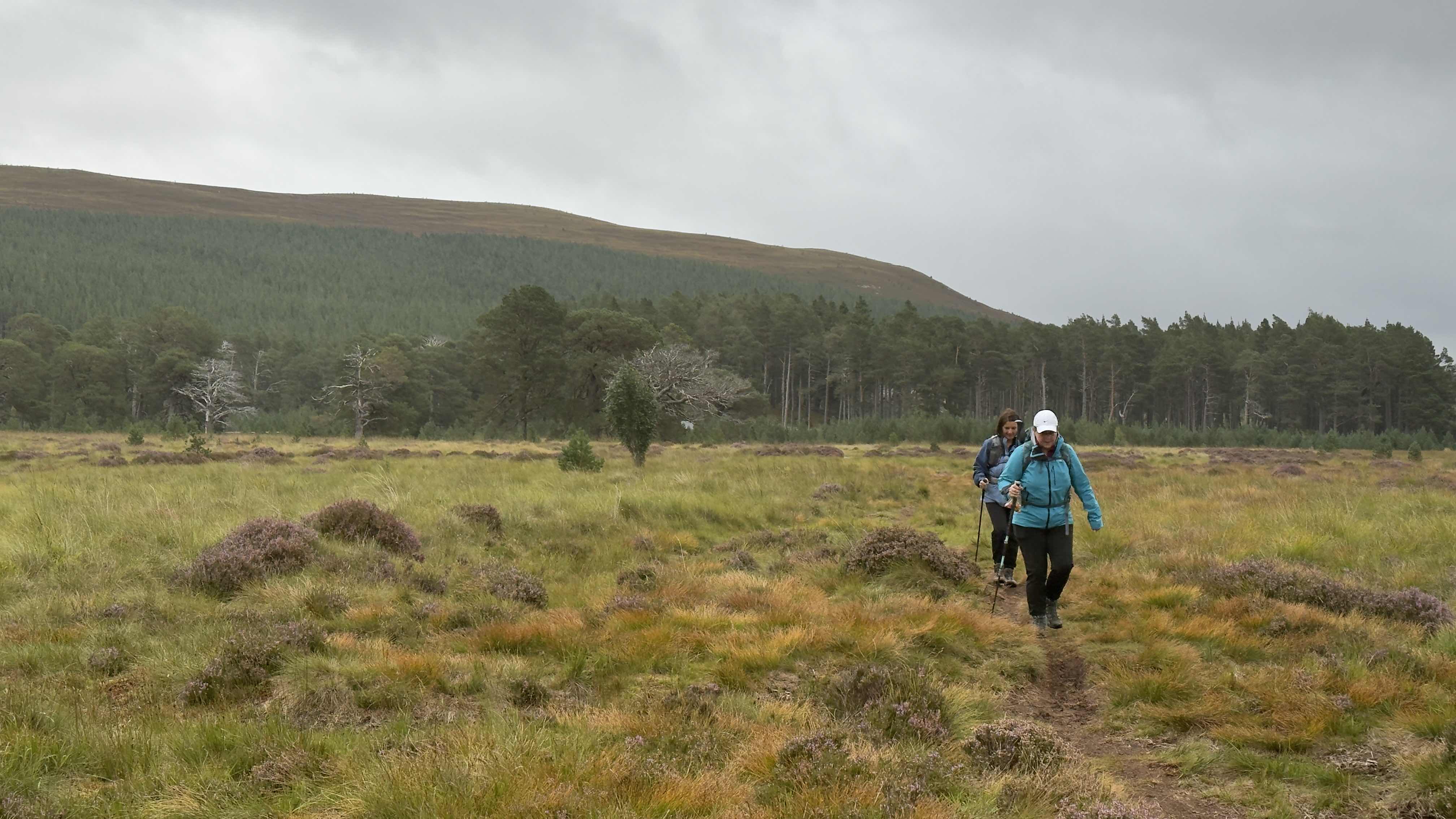 A map preview of the recording Lairig Ghru 30km for 30 years.