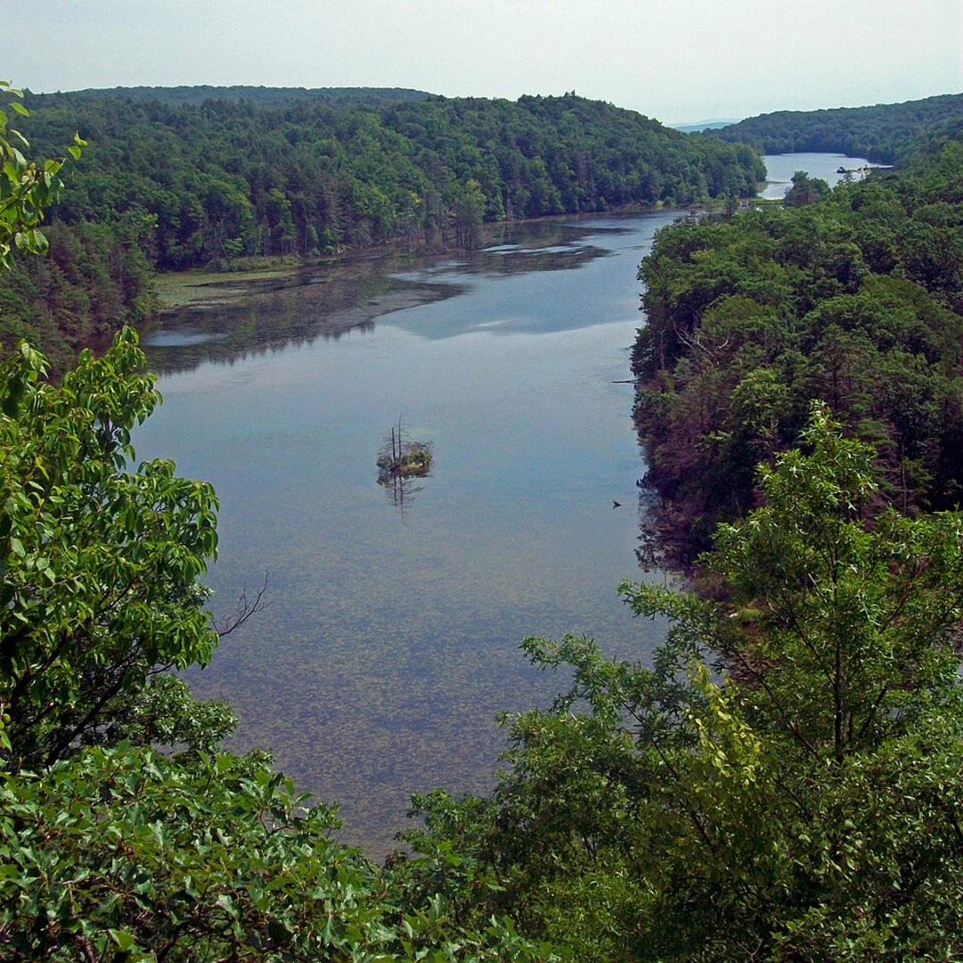 An image depicting the trail Shenandoah Mountain and Canopus Lake and its surrounding area.