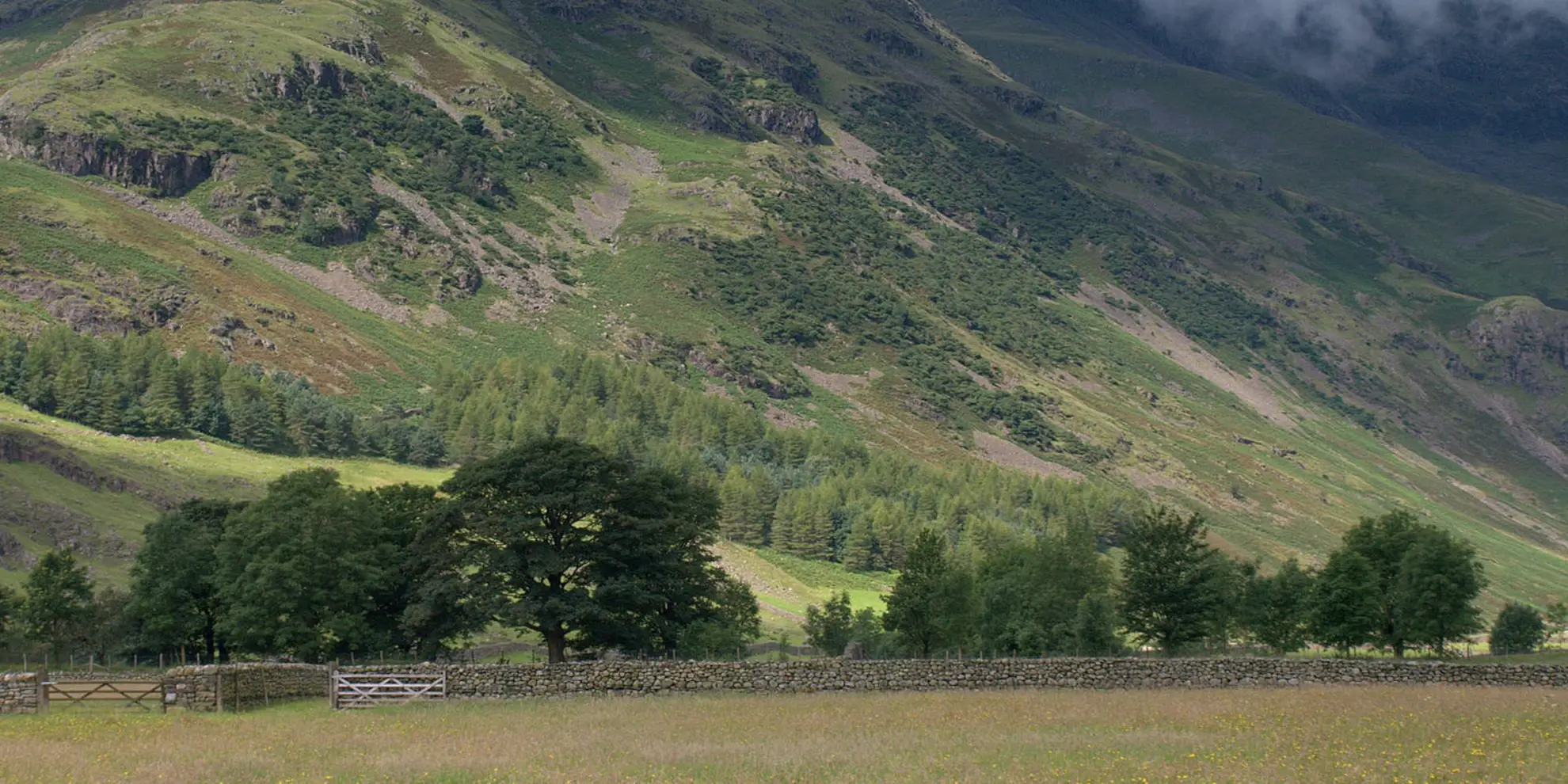 An image depicting the trail Hannah's Meadow - Baldersdale and Brown Rigg Moss and its surrounding area.