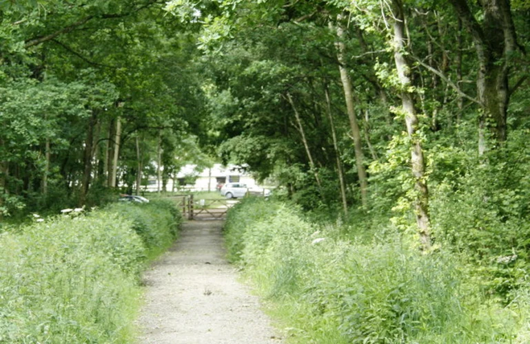 Clanger Wood Small Loop
