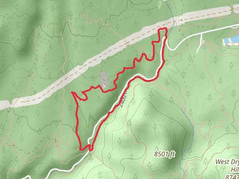 Arizona Trail and Schultz Creek Trail Loop