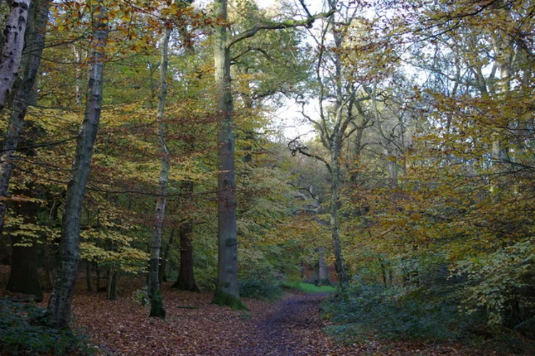 Barnt Green Loop