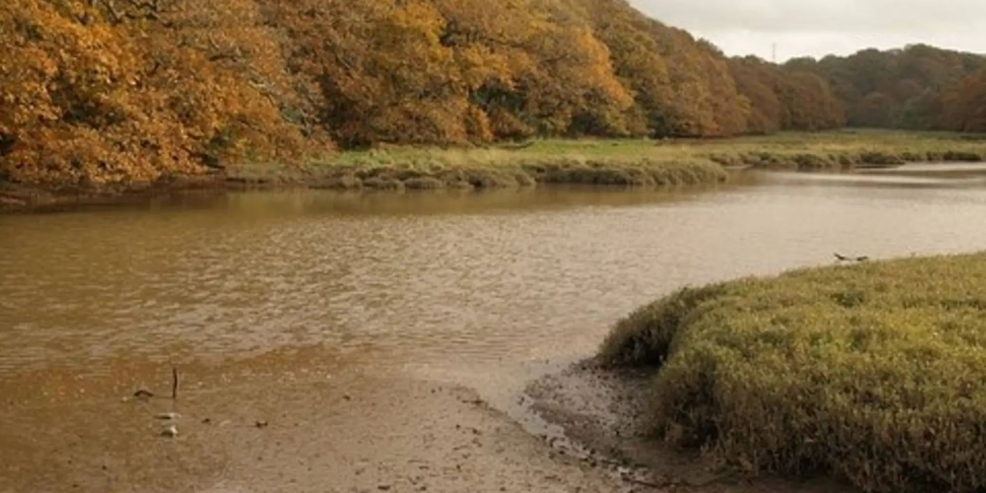 An image depicting the trail Blaxton to Mount Jessop via Tamar Valley Discovery Trail and its surrounding area.