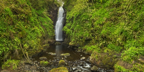 Cranny Falls