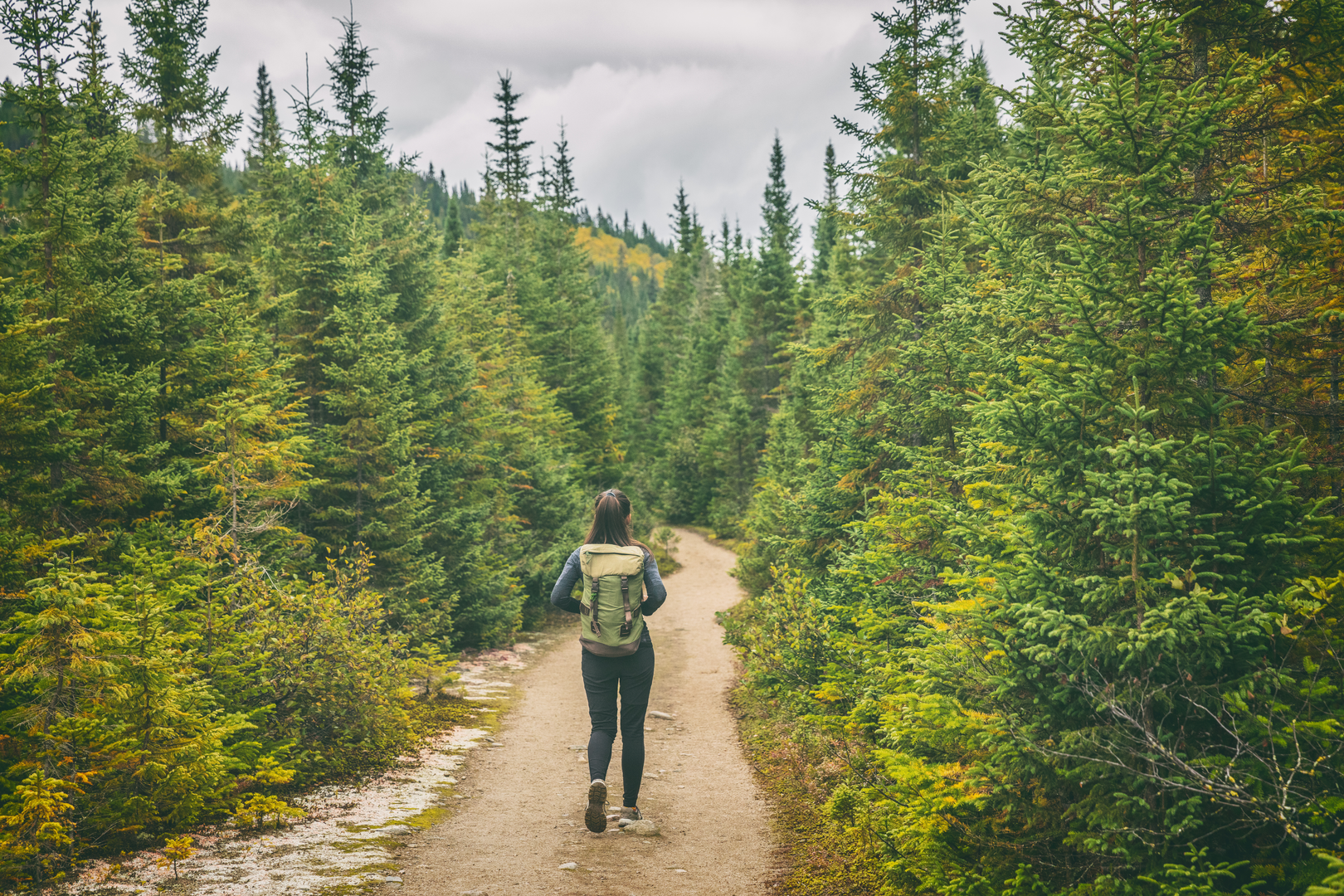 An image depicting the trail Chena Dome Trail and its surrounding area.