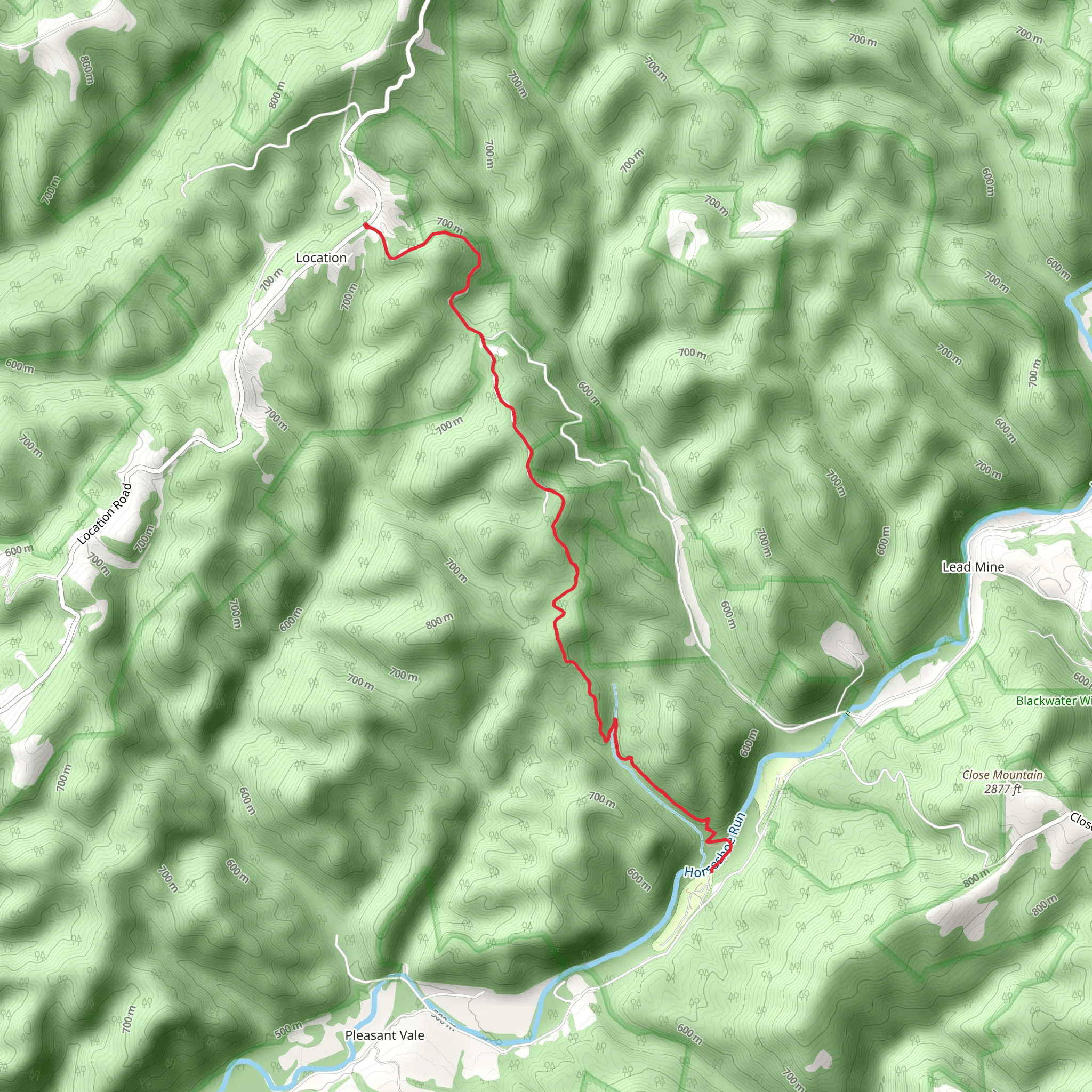 Losh Trail via Dorman Ridge Trail | Tucker County | West Virginia