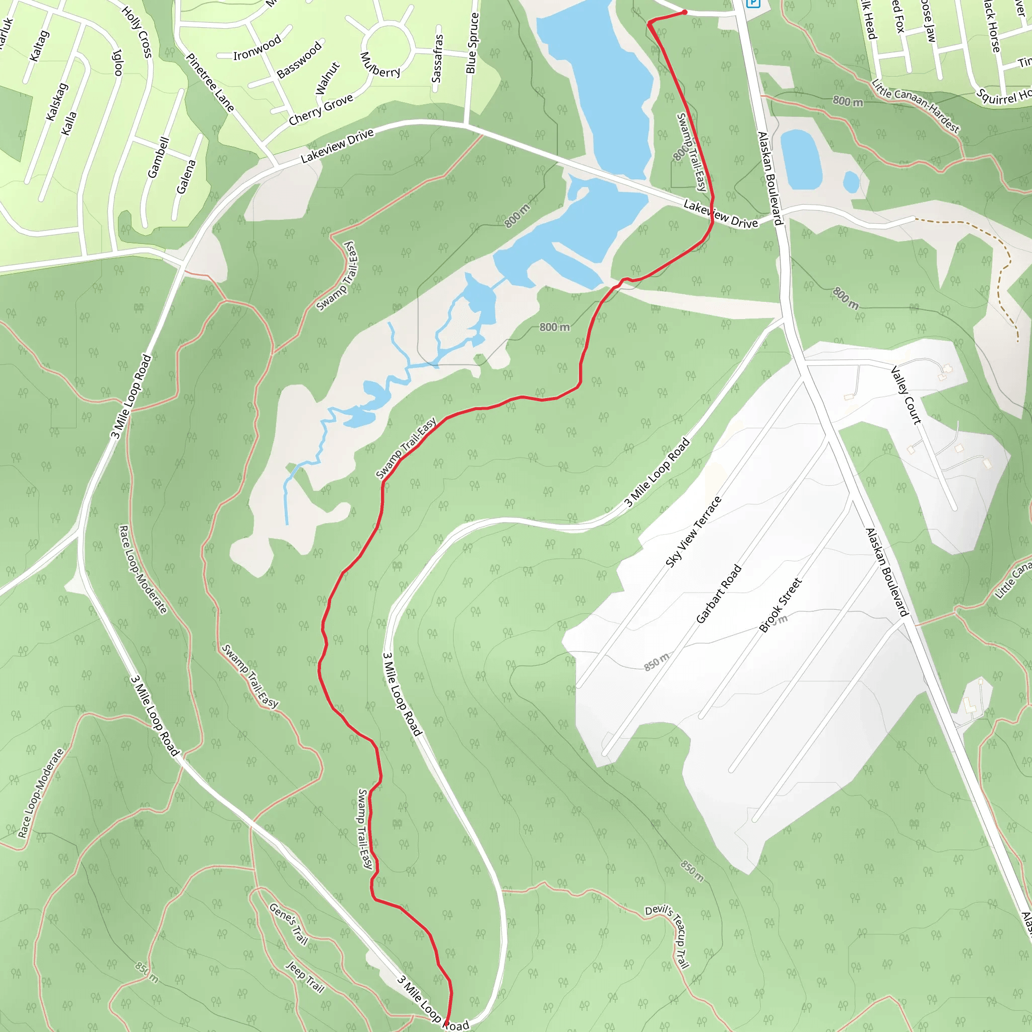 Swamp Trail - Easy mobile static map