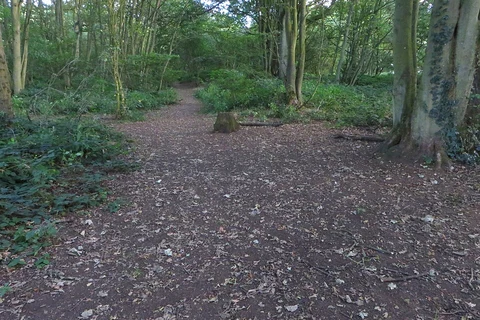 Preston Capes Loop