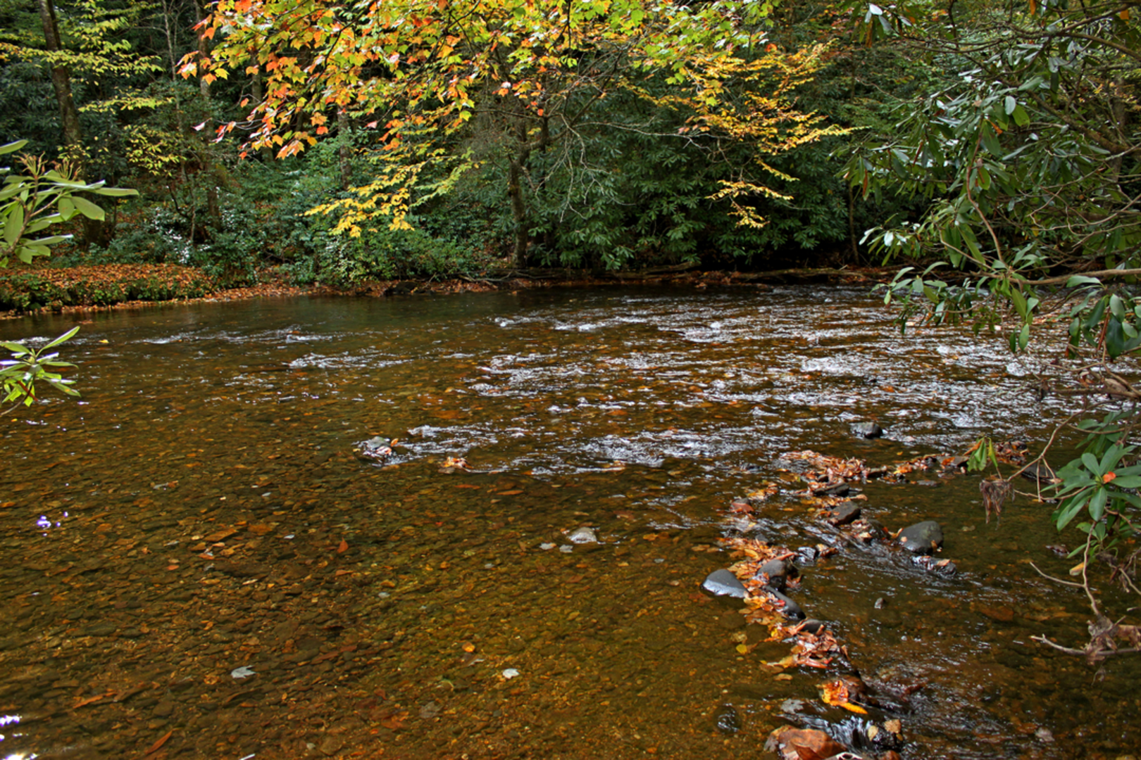 An image depicting the trail Park Ridge Trail and its surrounding area.
