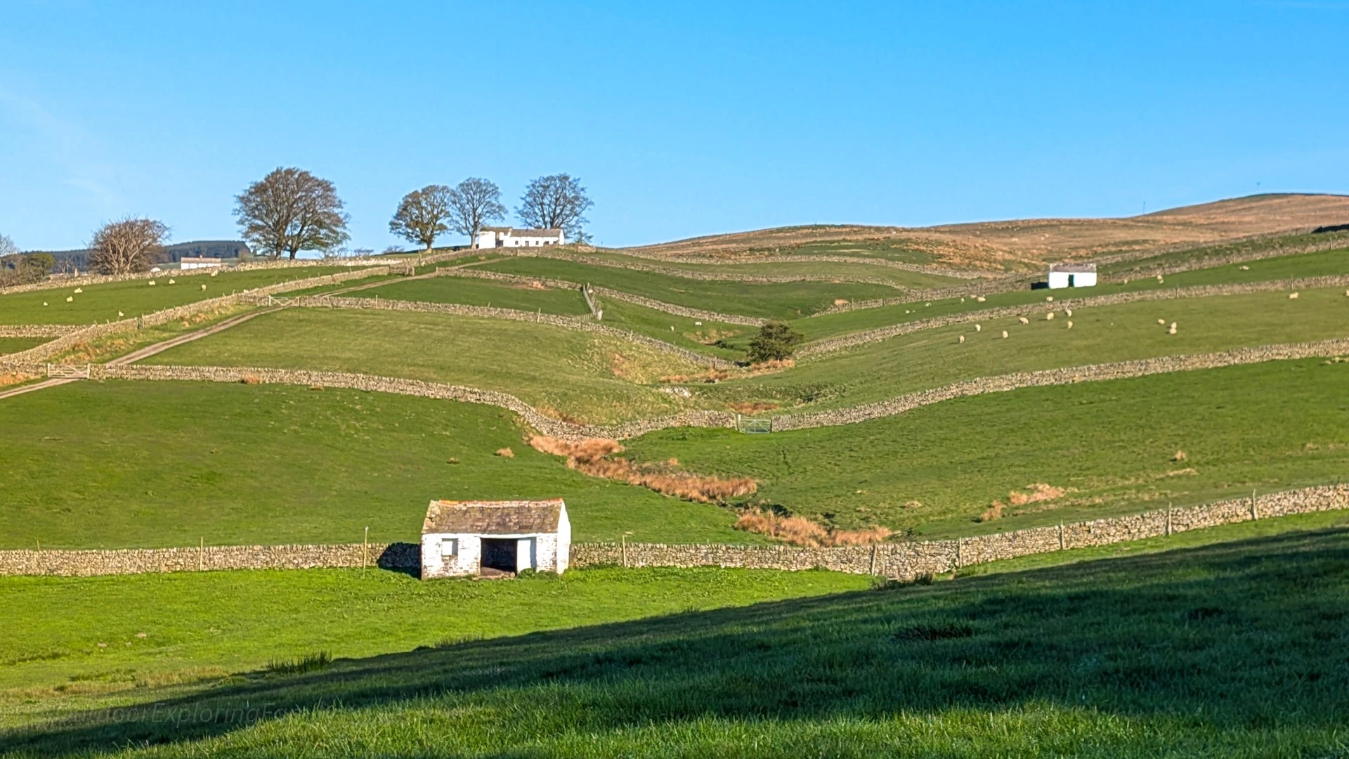 An image depicting the trail Bowlees short circular and its surrounding area.