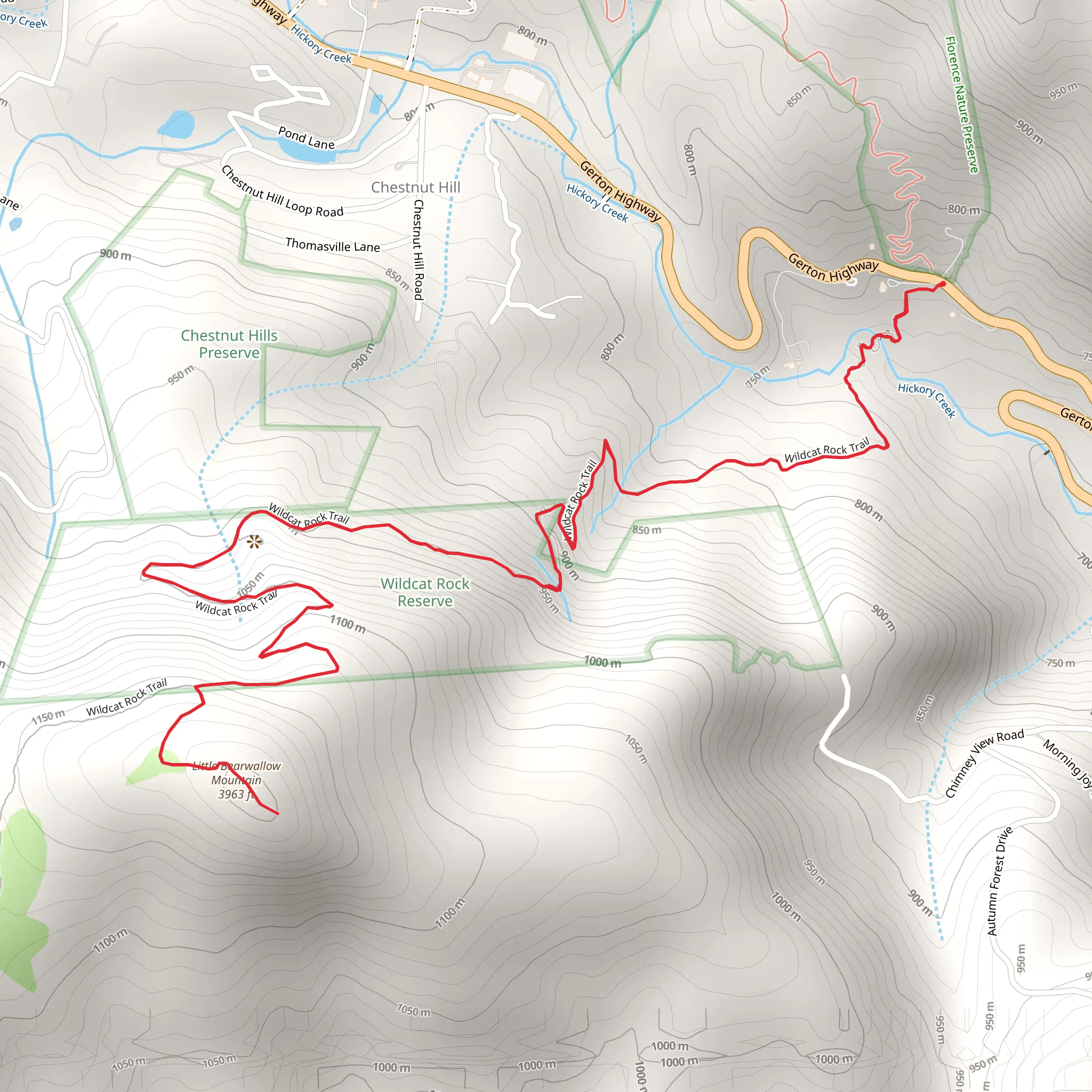 Little Bearwallow Mountain via Wildcat Rock Trail mobile static map