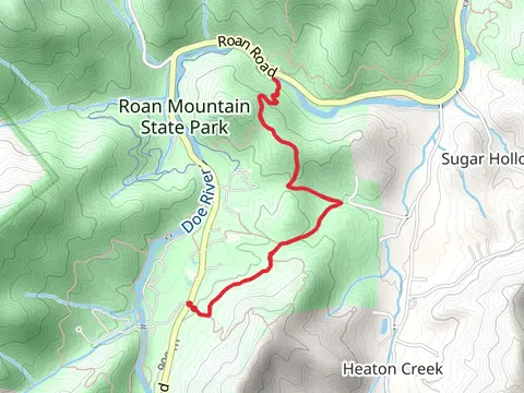 Forest Road Trail - Roan Road