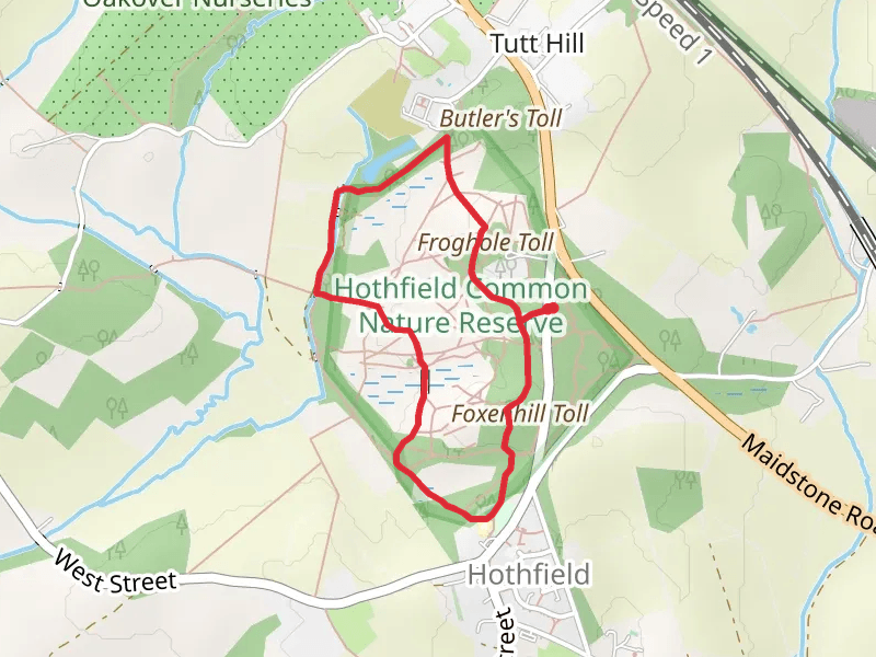 Hothfield Common Nature Reserve Loop