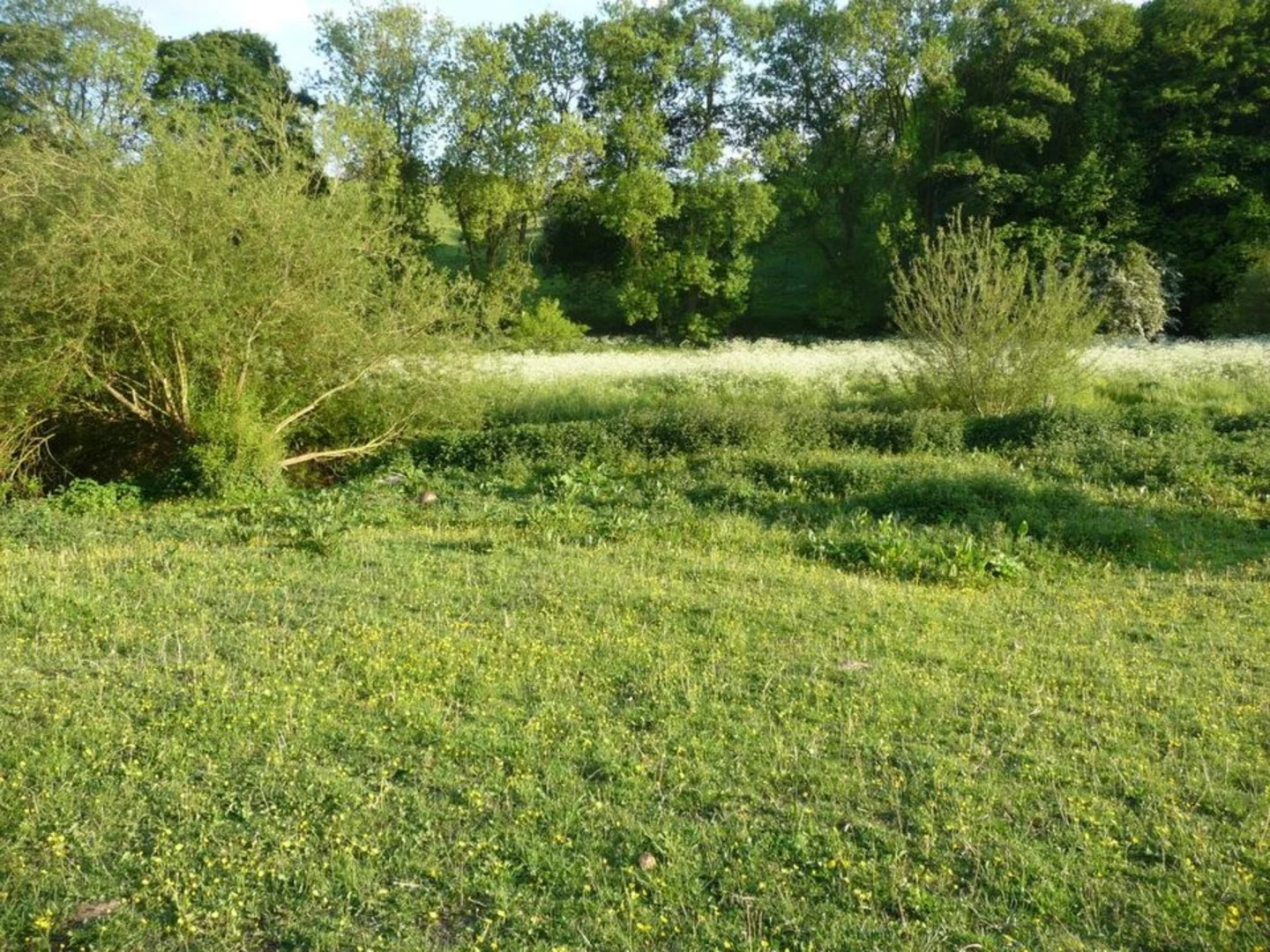 An image depicting the trail River Went Loop - Kirk Smeaton and its surrounding area.