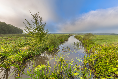 Kluivings bos and Landgoed De Braak Loop
