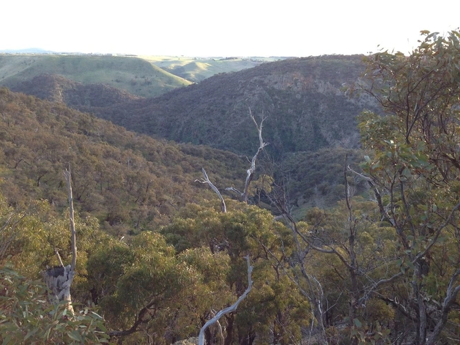 Pyramid Rock Trail - Ironbark Gorge