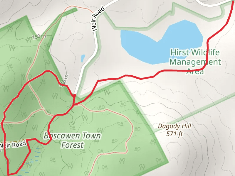 Boscawen Town Forest via Colby Trail