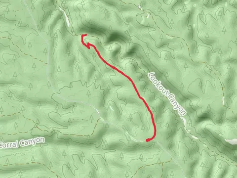 Middle Lookout Canyon Trail