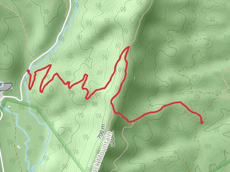 Tillman Trail