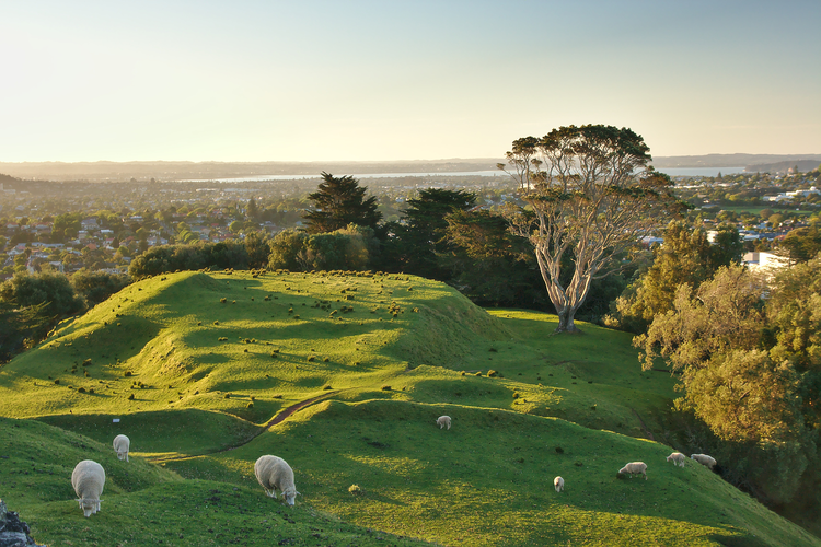 Cornwall Park Outer Loop