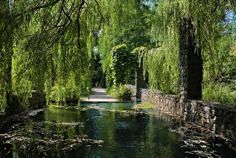 Ziegenwerder Loop