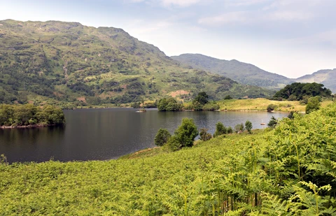 Maol Mor, Beinn a' Choin and Loch Katrine Loop