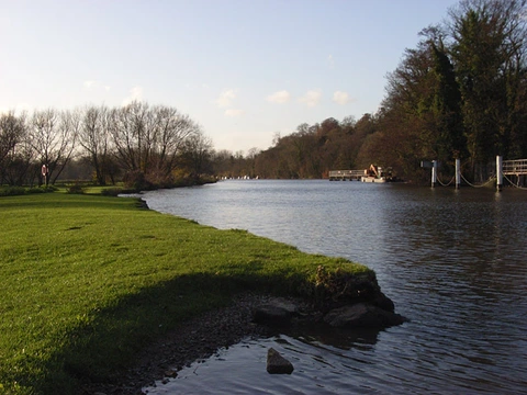 Hurley Loop