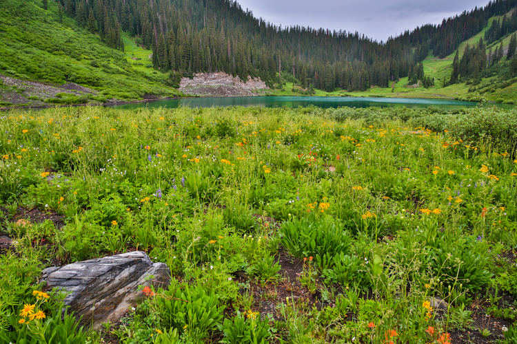 Cave Basin Trail