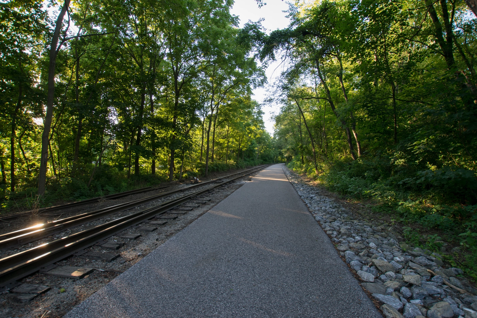 An image depicting the trail Torrey C Brown Trail and its surrounding area.