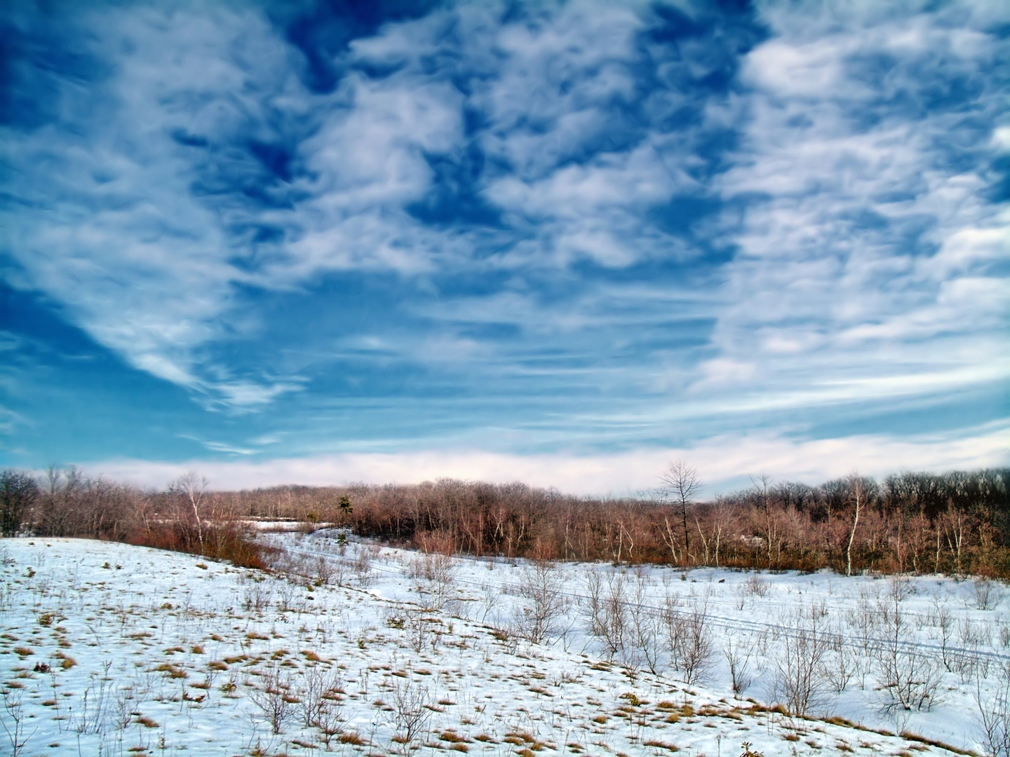 An image depicting the trail D and Nancy Eales Preserve Loop Trail and its surrounding area.