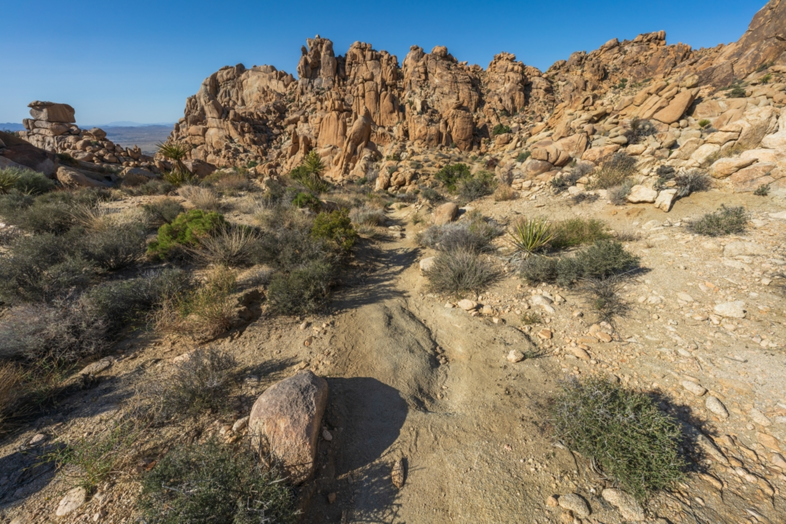 An image depicting the trail Panorama Trail via Creosote Trail and its surrounding area.