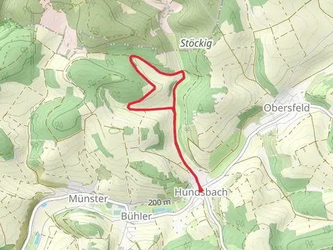 Mausgrund Loop