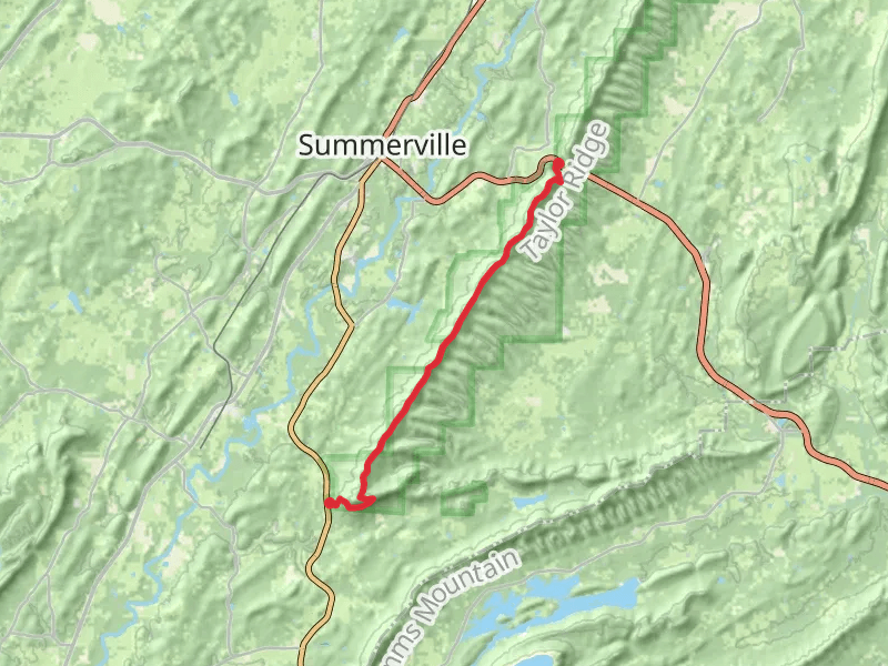 Pinhoti Trail from High Point