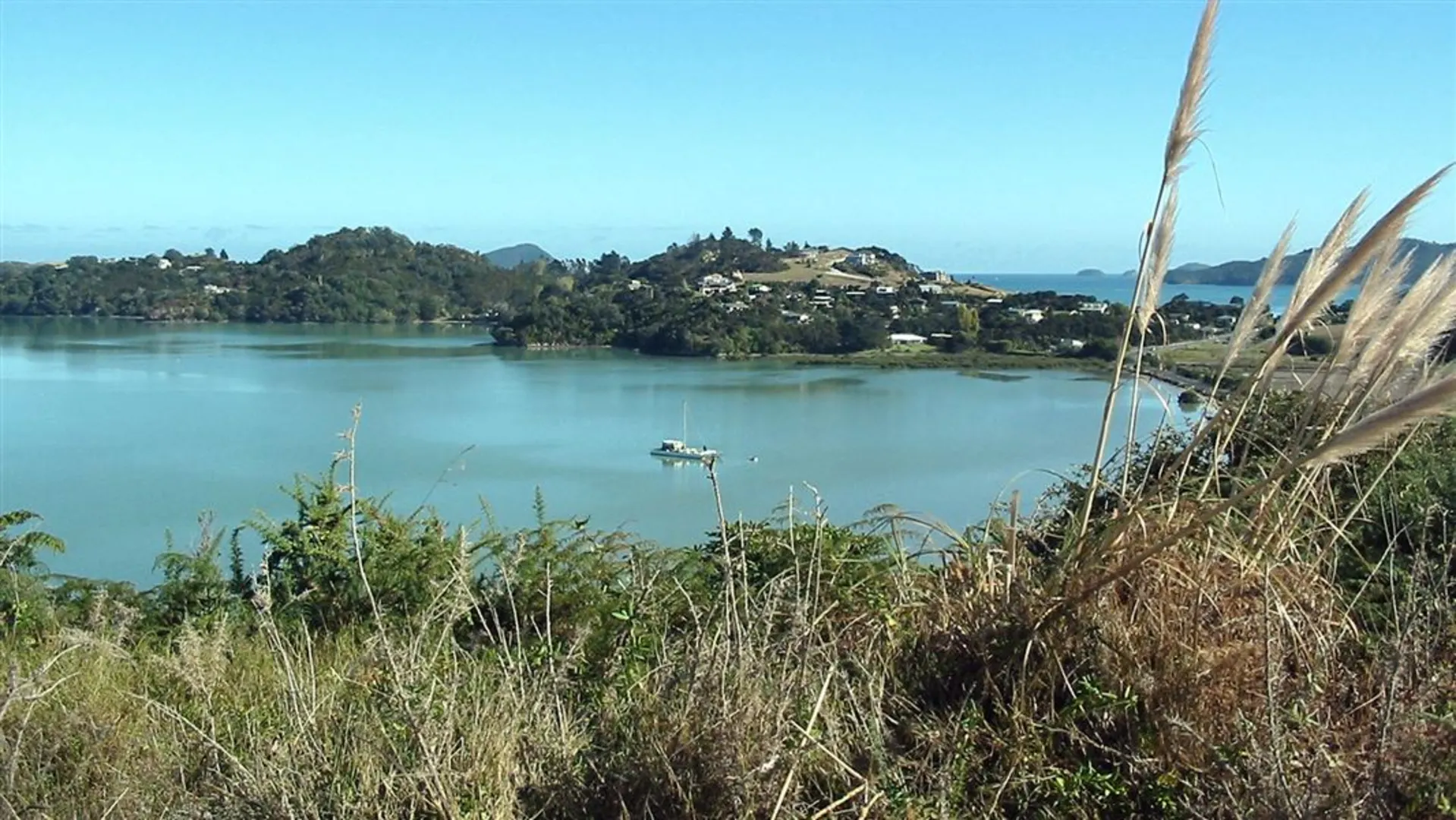 An image depicting the trail Kauri Block Track and its surrounding area.
