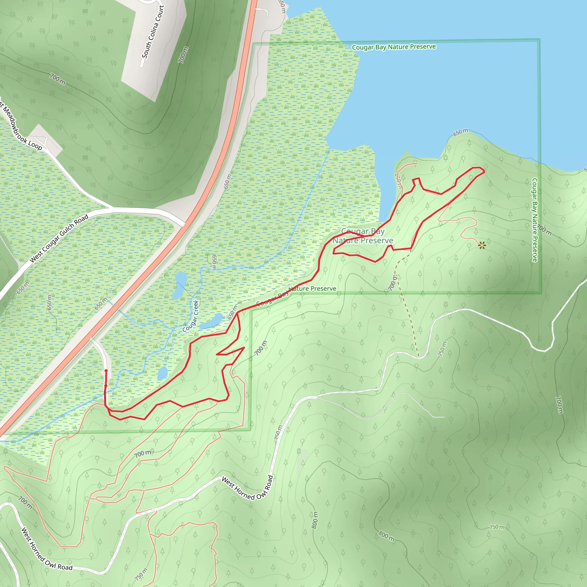 Loop beside Cougar Creek - South McAvoy Road mobile static map