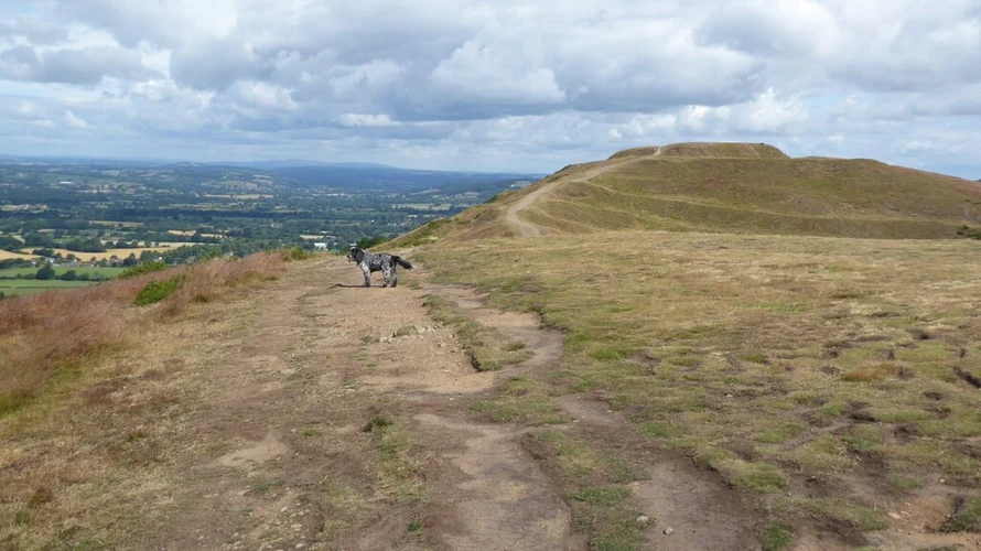 Wyche to Staunton Walk via Millennium Hill