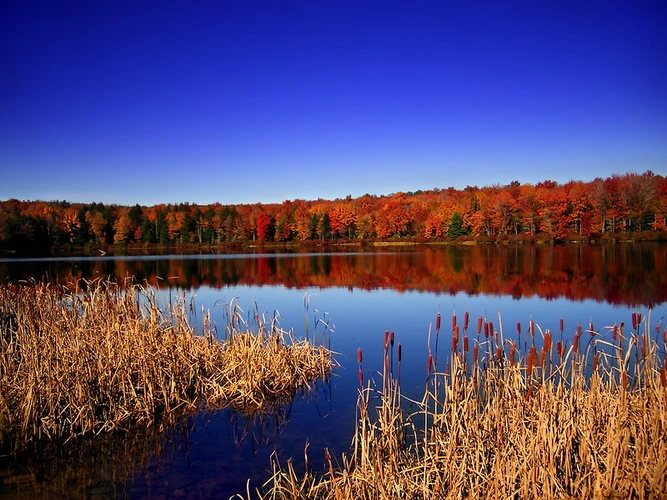 Turkey Hill Trail and Abington Trail Loop