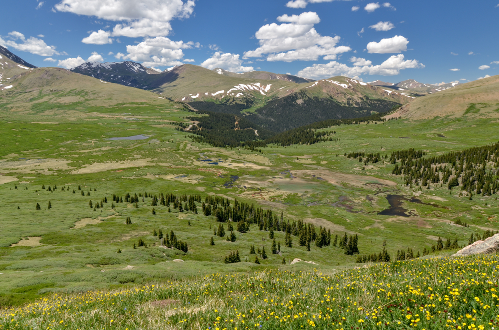 An image depicting the trail Mount Bierstadt Trail from Guanella Pass and its surrounding area.