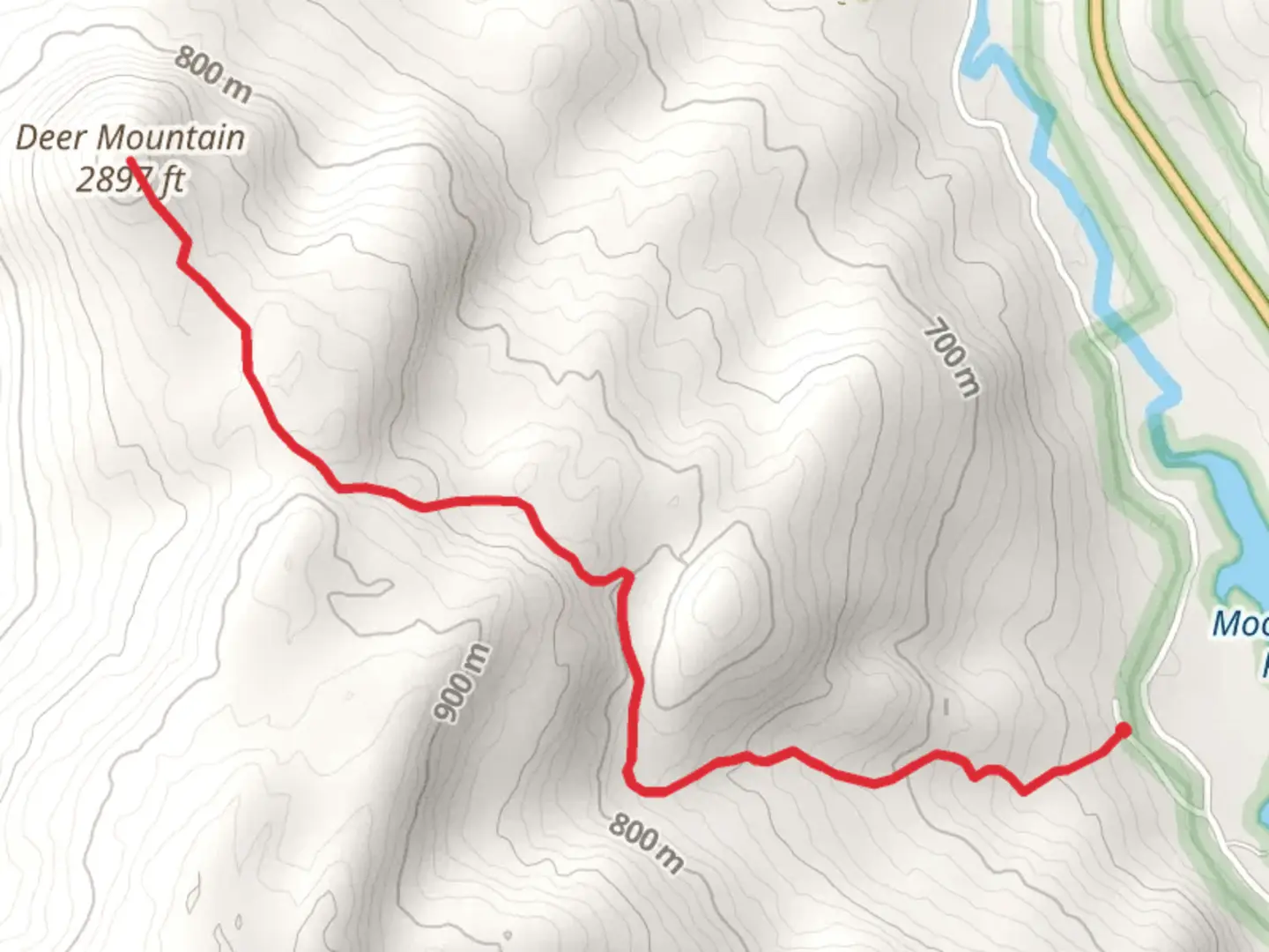 An image depicting the trail Deer Mountain Trail and its surrounding area.