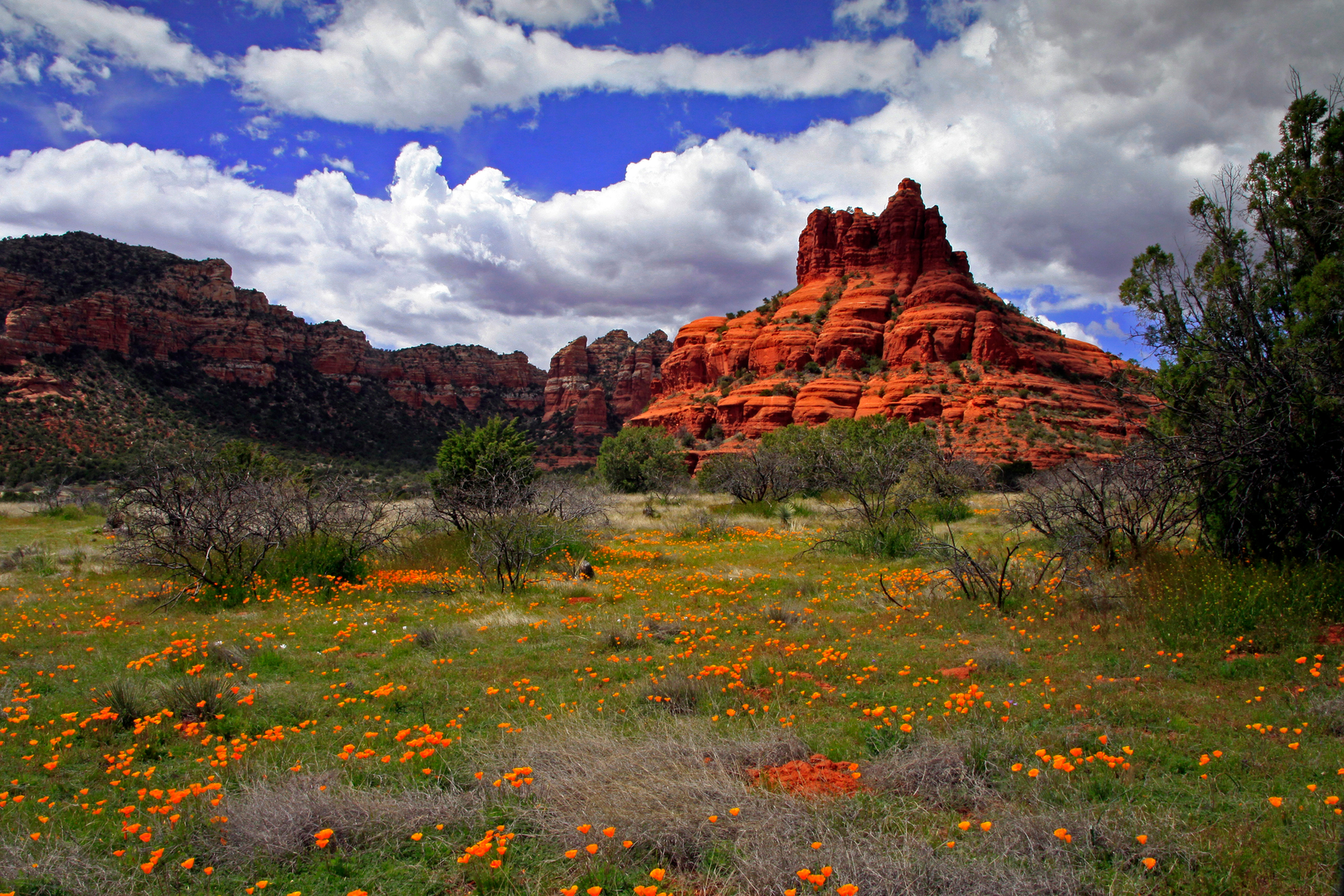 An image depicting the trail Bell Rock Pathway and Llama Loop Trail and its surrounding area.