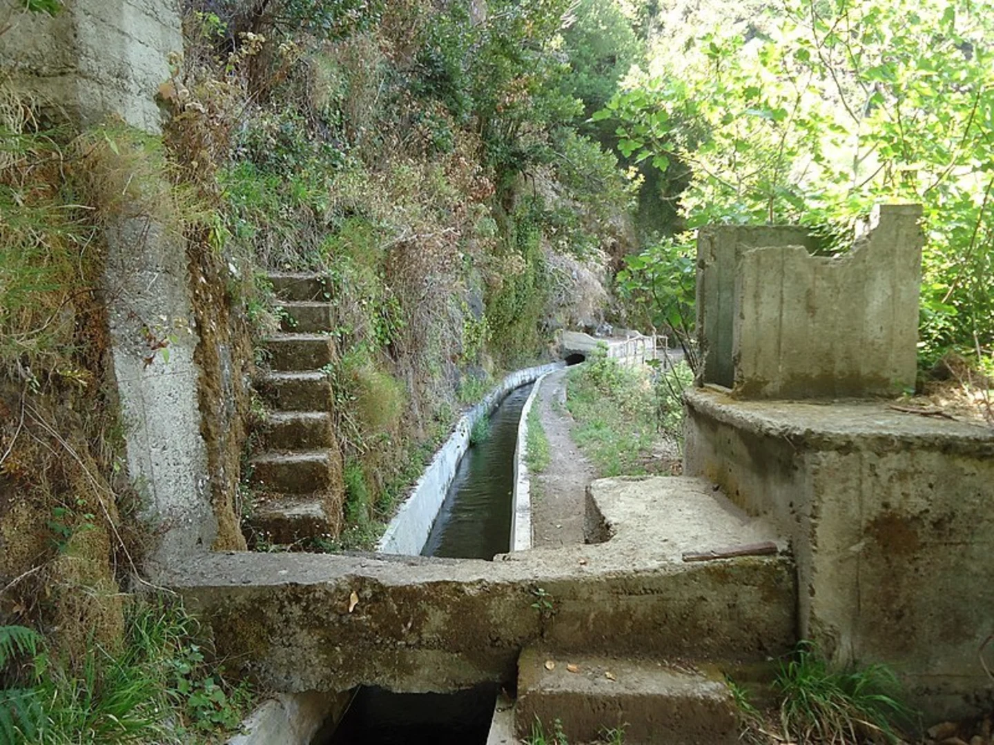 An image depicting the trail Levada Nova and its surrounding area.