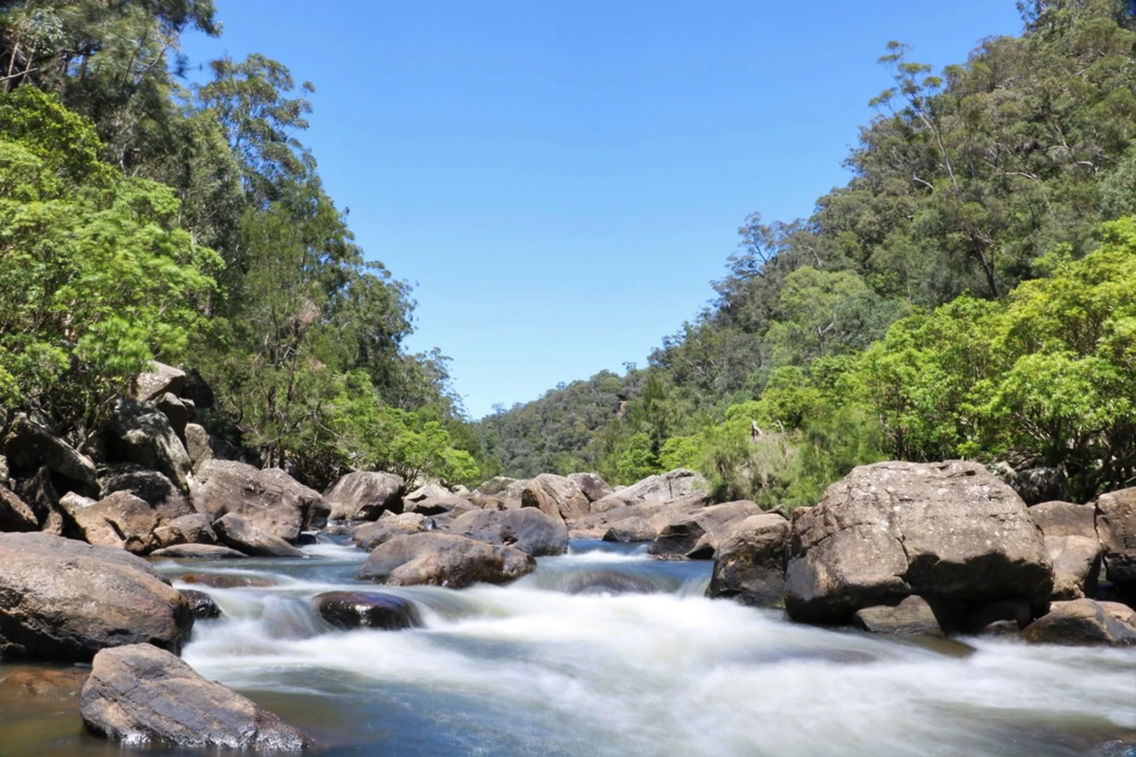 An image depicting the trail Caleys Lookout Track and its surrounding area.