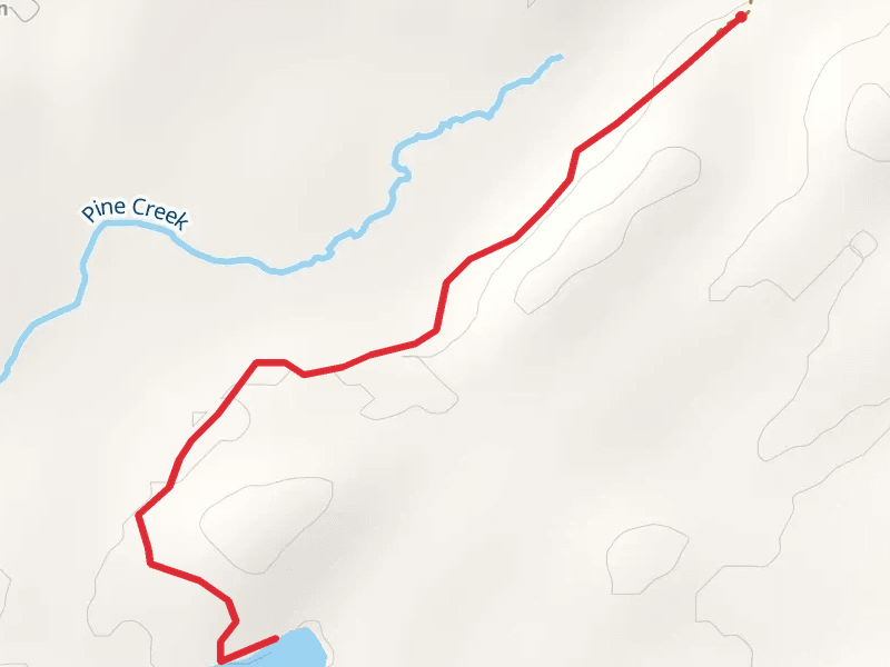 Panther Pond Trail