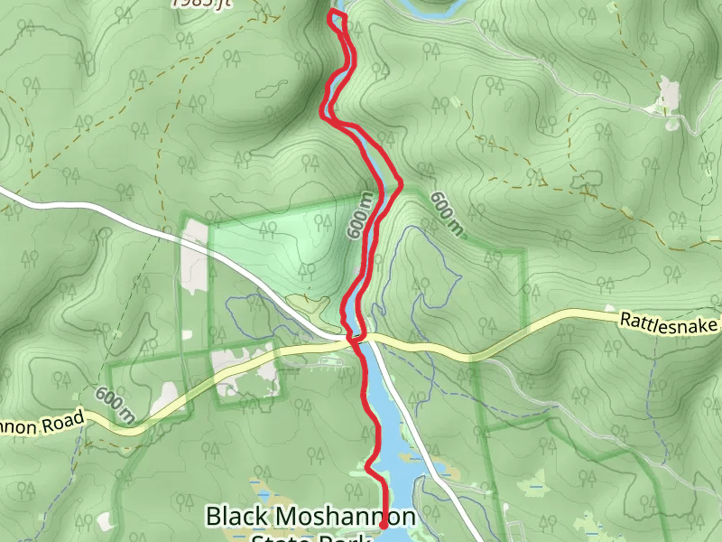 Black Moshannon Trail