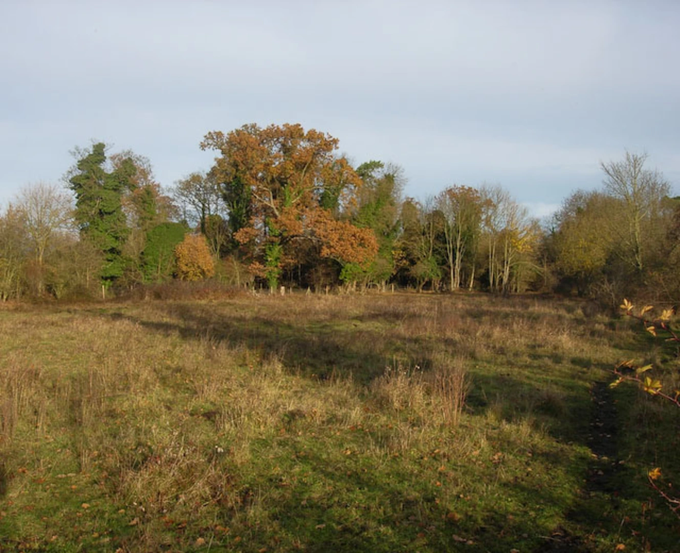 An image depicting the trail Dunmowes Manor Moat and Mutlow Hill Walk and its surrounding area.