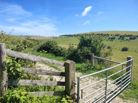 Hike from Ringmer to Mount Caburn return to Lewes
